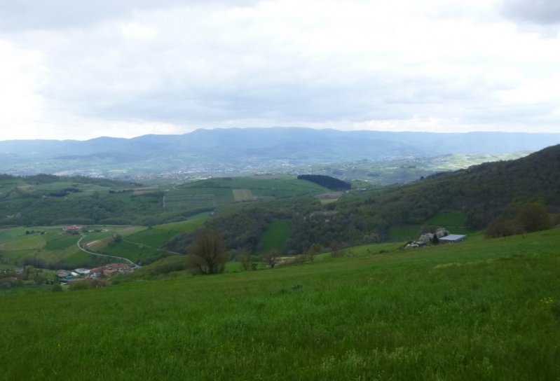 Rando des Badrais - St Didier Sous Riverie - 24 avril 2016